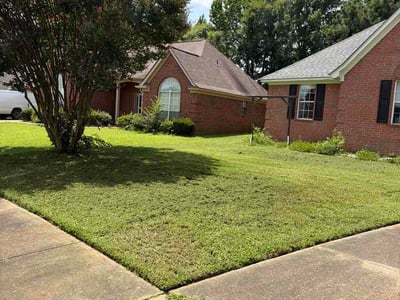 Lawn Care service in Senatobia, 38668