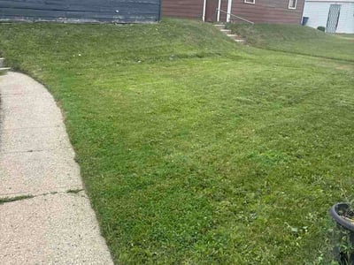 Lawn Care service in Menomonee Falls, 53051