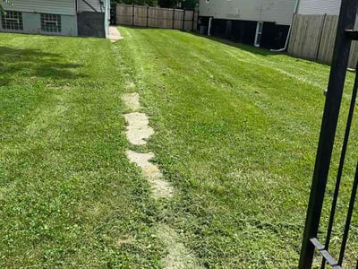 Lawn Care service in Downers Grove, 60515