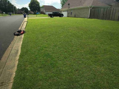 Lawn Care service in Senatobia, 38668