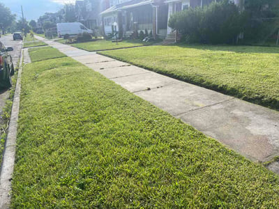 Lawn Care service in Lincoln Park, 48146