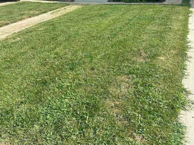 Lawn Care service in Harrison, 45030
