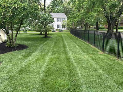 Lawn Care service in Harrison, 45030