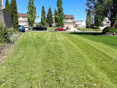 Lawn Care service in Trenton, 48183