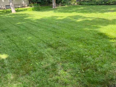 Lawn Care service in Gurnee, 60031