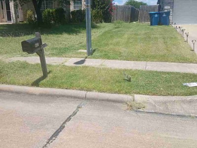 Lawn Care service in Rowlett, 75088