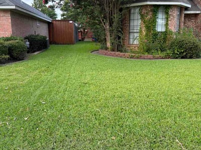 Lawn Care service in Rowlett, 75088