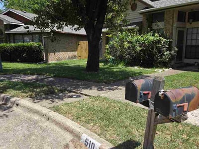 Lawn Care service in Allen, 75013