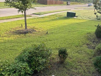 Lawn Care service in Waxahachie, 75165
