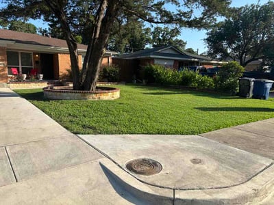 Lawn Care service in Waxahachie, 75165