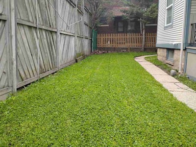 Lawn Care service in Mukwonago, 53149