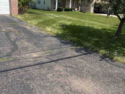 Lawn Care service in Palatine, 60074