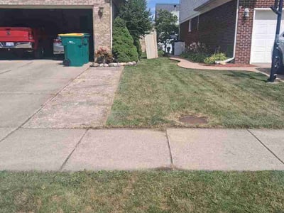 Lawn Care service in Wayne, 48184
