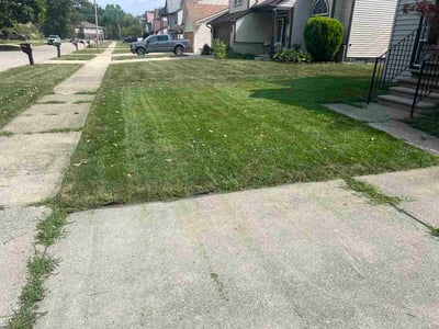Lawn Care service in Harper Woods, 48225