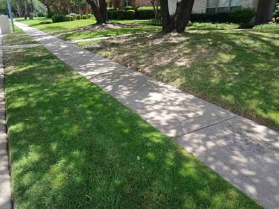 Lawn Care service in Plano, 75074