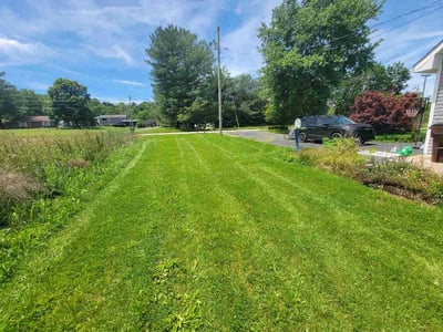 Lawn Care service in Covington, 41011