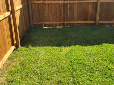 Lawn Care service in Farmers Branch, 75234