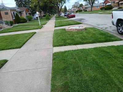 Lawn Care service in Dolton, 60419