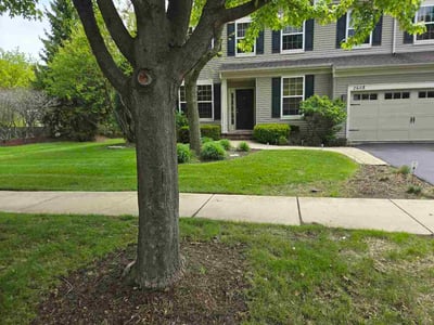 Lawn Care service in Streamwood, 60107