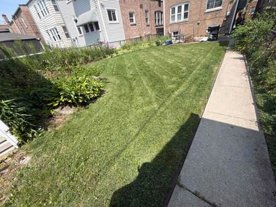 Lawn Care service in Streamwood, 60107