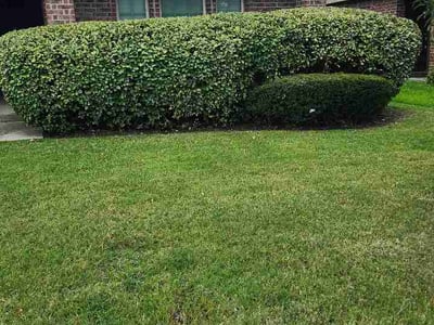 Lawn Care service in Princeton, 75407