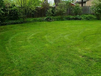 Lawn Care service in Lancaster, 14086