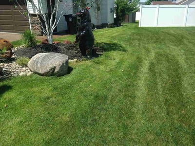 Lawn Care service in Lancaster, 14086