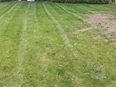 Lawn Care service in Crest Hill, 60403