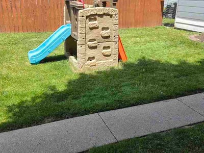 Lawn Care service in West Allis, 53214