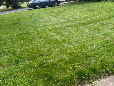 Lawn Care service in Lancaster, 14086