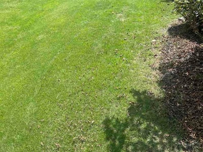 Lawn Care service in Elgin, 29045