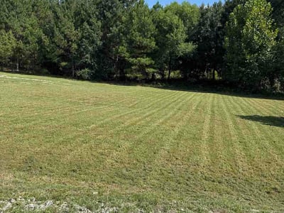 Lawn Care service in Elgin, 29045