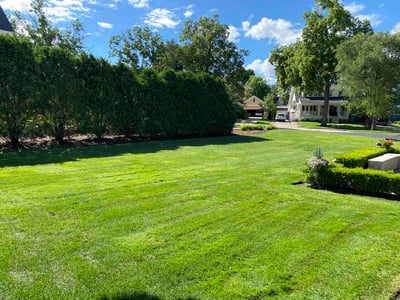 Lawn Care service in Glen Ellyn, 60137