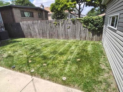Lawn Care service in Evergreen Park, 60805