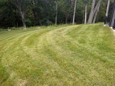 Lawn Care service in Shorewood, 53211