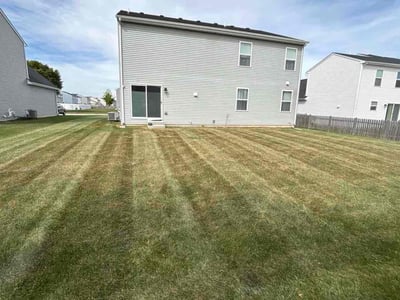Lawn Care service in Evergreen Park, 60805