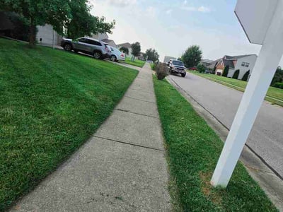 Lawn Care service in Independence, 41051