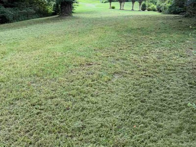 Lawn Care service in Auburn, 30011