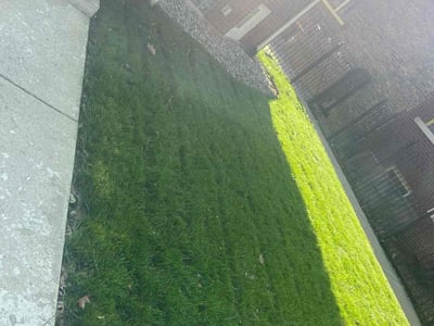 Lawn Care service in Evergreen Park, 60805