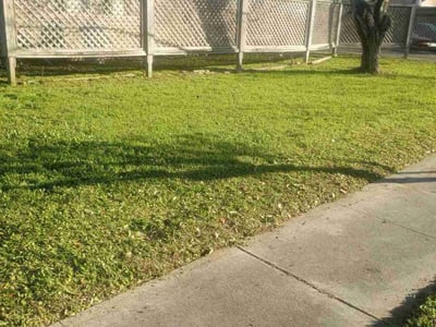 Lawn Care service in Portland, 78374