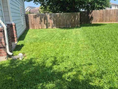 Lawn Care service in Portland, 78374