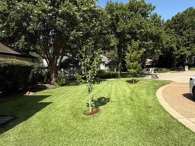 Lawn Care service in Southlake, 76092