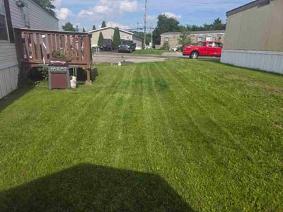 Lawn Care service in Florence, 41042