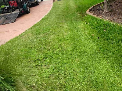 Lawn Care service in Portland, 78374