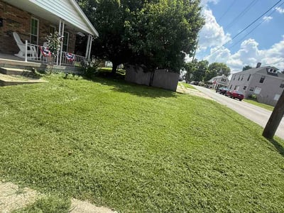 Lawn Care service in Florence, 41042