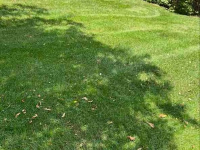 Lawn Care service in Brookfield, 53005