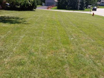 Lawn Care service in Brookfield, 53005