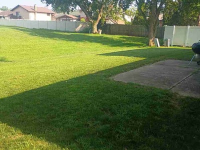 Lawn Care service in Lansing, 60438