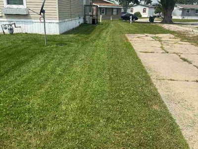 Lawn Care service in Chicago Heights, 60411