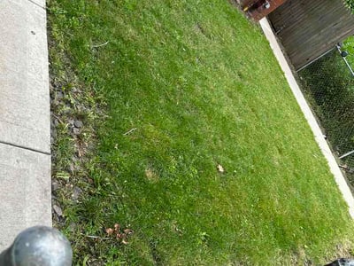 Lawn Care service in Mount Prospect, 60056